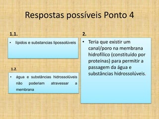 Respostas possíveis Ponto 4
1.1.
• lípidos e substancias lipossolúveis
2.
• Teria que existir um
canal/poro na membrana
hidrofílico (constituído por
proteínas) para permitir a
passagem da água e
substâncias hidrossolúveis.
1.2.
• água e substâncias hidrossolúveis
não poderiam atravessar a
membrana
 