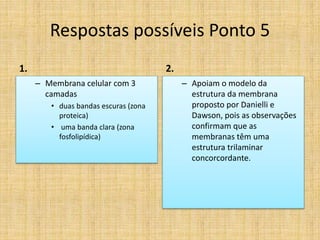 Respostas possíveis Ponto 5
1.
– Membrana celular com 3
camadas
• duas bandas escuras (zona
proteica)
• uma banda clara (zona
fosfolipídica)
2.
– Apoiam o modelo da
estrutura da membrana
proposto por Danielli e
Dawson, pois as observações
confirmam que as
membranas têm uma
estrutura trilaminar
concorcordante.
 