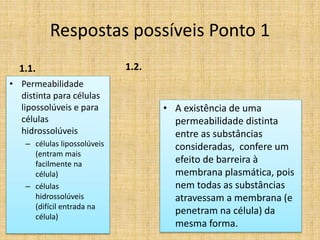 Respostas possíveis Ponto 1
1.1.
• Permeabilidade
distinta para células
lipossolúveis e para
células
hidrossolúveis
– células lipossolúveis
(entram mais
facilmente na
célula)
– células
hidrossolúveis
(difícil entrada na
célula)
1.2.
• A existência de uma
permeabilidade distinta
entre as substâncias
consideradas, confere um
efeito de barreira à
membrana plasmática, pois
nem todas as substâncias
atravessam a membrana (e
penetram na célula) da
mesma forma.
 