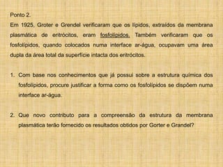 Ponto 2.
Em 1925, Groter e Grendel verificaram que os lípidos, extraídos da membrana
plasmática de eritrócitos, eram fosfolípidos. Também verificaram que os
fosfolípidos, quando colocados numa interface ar-água, ocupavam uma área
dupla da área total da superfície intacta dos eritrócitos.
1. Com base nos conhecimentos que já possui sobre a estrutura química dos
fosfolípidos, procure justificar a forma como os fosfolípidos se dispõem numa
interface ar-água.
2. Que novo contributo para a compreensão da estrutura da membrana
plasmática terão fornecido os resultados obtidos por Gorter e Grandel?
 