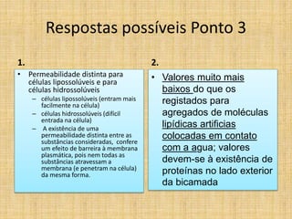 Respostas possíveis Ponto 3
1.
• Permeabilidade distinta para
células lipossolúveis e para
células hidrossolúveis
– células lipossolúveis (entram mais
facilmente na célula)
– células hidrossolúveis (difícil
entrada na célula)
– A existência de uma
permeabilidade distinta entre as
substâncias consideradas, confere
um efeito de barreira à membrana
plasmática, pois nem todas as
substâncias atravessam a
membrana (e penetram na célula)
da mesma forma.
2.
• Valores muito mais
baixos do que os
registados para
agregados de moléculas
lipídicas artificias
colocadas em contato
com a agua; valores
devem-se à existência de
proteínas no lado exterior
da bicamada
 