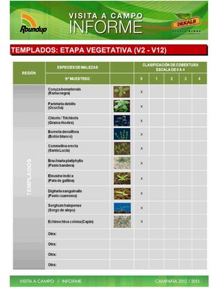 TEMPLADOS: ETAPA VEGETATIVA (V2 - V12)




                               X



                               X



                               X



                               X



                               X



                               X



                               X



                               X



                               X



                               X
 