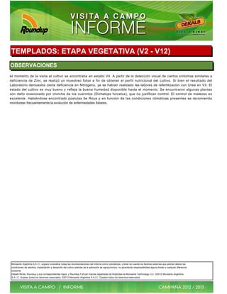 TEMPLADOS: ETAPA VEGETATIVA (V2 - V12)
OBSERVACIONES
Al momento de la visita el cultivo se encontraba en estado V4. A partir de la detección visual de ciertos síntomas similares a
deficiencia de Zinc, se realizó un muestreo foliar a fin de obtener el perfil nutricional del cultivo. Si bien el resultado del
Laboratorio demuestra cierta deficiencia en Nitrógeno, ya se habían realizado las labores de refertilización con Urea en V3. El
estado del cultivo es muy bueno y refleja la buena humedad disponible hasta el momento. Se encontraron algunas plantas
con daño ocasionado por chinche de los cuernitos (Dichelops furcatus), que no justifican control. El control de malezas es
excelente. Habiéndose encontrado pústulas de Roya y en función de las condiciones climáticas presentes se recomienda
monitorear frecuentemente la evolución de enfermedades foliares.




 Monsanto Argentina S.A.I.C. sugiere considerar todas las recomendaciones del informe como orientativas, y tener en cuenta los factores externos que podrían alterar las
 condiciones de siembra, implantación y desarrollo del cultivo además de la aplicación de agroquímicos, no asumiendo responsabilidad alguna frente a cualquier diferencia
 existente.
 Dekalb Rinde, Roundup y sus correspondientes logos, y Roundup Full son marcas registradas de titularidad de Monsanto Technology LLC. ©2012 Monsanto Argentina
 S.A.I.C. Quedan todos los derechos reservados. ©2012 Monsanto Argentina S.A.I.C. Quedan todos los derechos reservados.
 