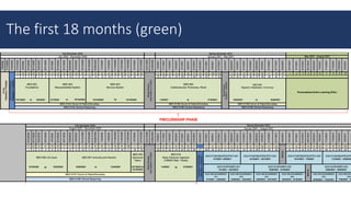The first 18 months (green)
 