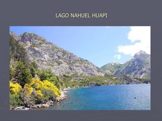 LAGO NAHUEL HUAPI 