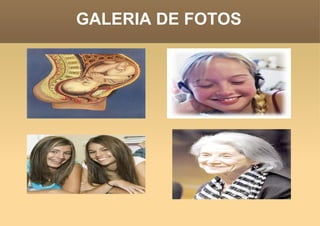 GALERIA DE FOTOS 
