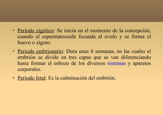 Periodo zigótico : Se inicia en el momento de la concepción, cuando el espermatozoide fecunda al óvulo y se forma el huevo o zigoto.  Periodo embrionario : Dura unas 6 semanas, en las cuales el embrión se divide en tres capas que se van diferenciando hasta formar el esbozo de los diversos  sistemas  y aparatos corporales.  Periodo fetal : Es la culminación del embrión.  