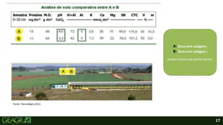 17
Fonte: ParanáAgro,2012.
A- Área sem calagem;
B- Área com calagem ;
Ambas sistema de plantio direto.
 