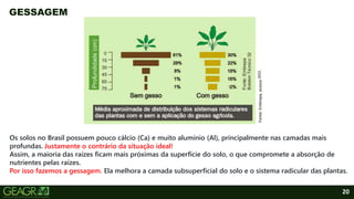 20
GESSAGEM
Os solos no Brasil possuem pouco cálcio (Ca) e muito alumínio (Al), principalmente nas camadas mais
profundas.
Assim, a maioria das raízes ficam mais próximas da superfície do solo, o que compromete a absorção de
nutrientes pelas raízes.
Por isso fazemos a gessagem. Ela melhora a camada subsuperficial do solo e o sistema radicular das plantas.
Justamente o contrário da situação ideal!
Fonte:
Embrapa,
acesso
2022
.
 