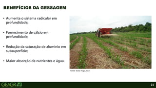 21
• Aumenta o sistema radicular em
profundidade;
• Fornecimento de cálcio em
profundidade;
• Redução da saturação de alumínio em
subsuperfície;
• Maior absorção de nutrientes e água.
BENEFÍCIOS DA GESSAGEM
Fonte: Victor Hugo,2022.
 
