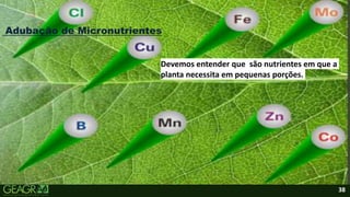 38
Adubação de Micronutrientes
Devemos entender que são nutrientes em que a
planta necessita em pequenas porções.
 