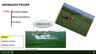 42
• Folha
ADUBAÇÃO FOLIAR
Correção Rápida;
Menos Duradoura;
Corretiva.
Fonte: Envolverde, 2019.
ESTÁDIO: V4 / R1
DOSES:
°ANÁLISE DE SOLO
°ANÁLISE FOLIAR
 