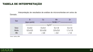 43
TABELA DE INTERPRETAÇÃO
Fonte : Galrão, 2004.
 