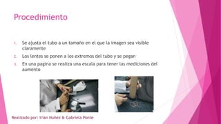 Procedimiento
1. Se ajusta el tubo a un tamaño en el que la imagen sea visible
claramente
2. Los lentes se ponen a los extremos del tubo y se pegan
3. En una pagina se realiza una escala para tener las mediciones del
aumento
Realizado por: Irian Nuñez & Gabriela Ponte
 