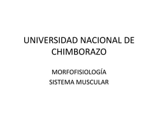 UNIVERSIDAD NACIONAL DE
      CHIMBORAZO

      MORFOFISIOLOGÍA
     SISTEMA MUSCULAR
 
