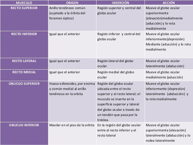 La compresa de alcohol al dolor en la espalda