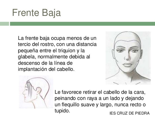 73 Imagenes Cortes De Pelo Para Cara Redonda Frente Pequeña Free Descargar