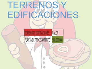 TERRENOS Y 
EDIFICACIONES 
 