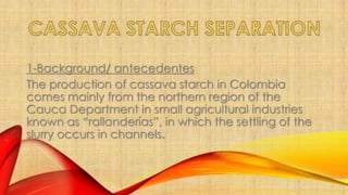 1-Background/ antecedentes 
The production of cassava starch in Colombia 
comes mainly from the northern region of the 
Cauca Department in small agricultural industries 
known as “rallanderías”, in which the settling of the 
slurry occurs in channels. 
 