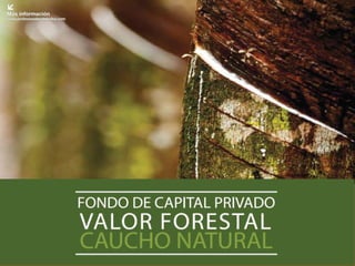 Fondo de Capital Privado – Valor Forestal

 