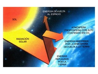 ConclusionesLa composición de nuestro planeta está integrada por tres elementos físicos: uno sólido, la litosfera, otro líquido, la hidrosfera, y otro gaseoso, la atmósfera. La combinación de estos tres elementos forma la biosfera, que es la parte del planeta ocupada por los seres vivos.