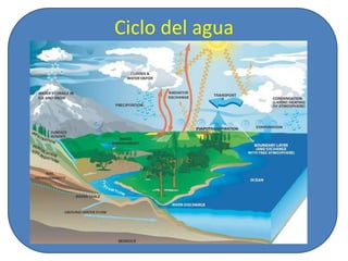 Los principales procesos implicados en el ciclo del Agua son:Evaporación. El agua se evapora en la superficie oceánica, sobre el terreno y también por los organismos, en el fenómeno de la transpiración. Dado que no podemos distinguir claramente entre la cantidad de agua que se evapora y la cantidad que es transpirada por los organismos, se suele utilizar el termino evapotranspiración. Los seres vivos, especialmente las plantas, contribuyen con un 10% al agua que se incorpora a la atmósfera.Condensacion. El agua en forma de vapor sube y se condensa formando las nubes. Precipitación. Es cuando el agua en estado gaseoso luego de condensarse cae en forma de gotas de agua, granizo o nieve.Infiltración. Ocurre cuando el agua que alcanza el suelo penetra a través de sus poros y pasa a ser subterránea. La proporción de agua que se infiltra y la que circula en superficie (escorrentía) depende de la permeabilidad del suelo, de la pendiente y de la cobertura vegetal. Parte del agua infiltrada vuelve a la atmósfera por evaporación o, más aún, por la transpiración de las plantas, que la extraen con raíces. Escorrentía. Este término se refiere a los diversos medios por los que el agua líquida se desliza cuesta abajo por la superficie del terreno. Circulación subterránea. Se produce a favor de la gravedad, como la escorrentía superficial, de la que se puede considerar una versión. 