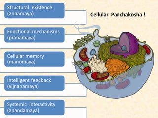 Cellular Panchakosha !
 