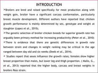 Effect of genotype and sex on growth performance of four strains of ...