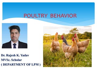 POULTRY BEHAVIOR
Dr. Rajesh K. Yadav
MVSc. Scholar
( DEPARTMENT OF LPM )
 