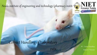 Correct Handling of Laboratory
rats.
BY – Tushar Chaudhary
Mpharm 1st Semester
Noida institute of engineering and technology (pharmacy institute)
 