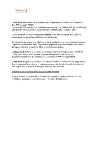 Le document 2 fait le lien entre la présence de DEX (analogue du cortisol) et l’expression
d’un ARN messager PEPCK.
La quantité d’ARN messager est en effet plus importante et le PBS et le S26 sert de référence
pour prendre en considération l’augmentation de PEPCK grâce à l’ajout de DEX.
Le rôle de PEPCK est détaillé dans le document 3 où on retrouve PEPCK dans une voie
métabolique entraînant la possible synthèse de Glucose.
Connaissances du programme : la glycémie est la régulation de la concentration de glucose.
Le glucose est consommé lors d’un jeûne par l’organisme (5g/heure d’après le document 3)
donc pour maintenir la glycémie, il faut la production de glucose.
Le document 4 conforte le lien entre la présence de cortisol et l’expression de PEPCK via
l’étude d’un mutant. Il met aussi en évidence la nécessité d’un récepteur aux
glucocorticoïdes (famille du cortisol) pour la présence de ARN messager PEPCK.
Le document 5 explique le processus : il y a fixation de DEX (ou cortisol en cas de jeûne) sur
des récepteurs présents dans le cytoplasme (couleur grise du cytoplasme à 0 minute) qui
vont migrer dans le noyau (couleur grise du noyau à 12 minutes)
Mentionner les notions de transcription et d’ARN messager.
Schéma : cortisol qui augmente -> fixation à des récepteurs -> expression de PEPCK ->
synthèse de glucose par voie métabolique -> maintien de la glycémie.
 