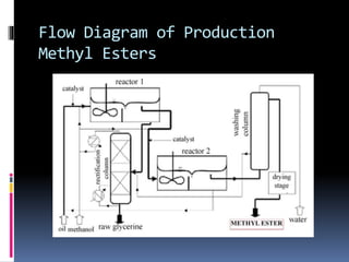 Flow Diagram of Production
Methyl Esters
 