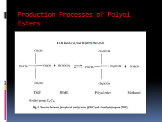 Production Processes of Polyol
Esters
 