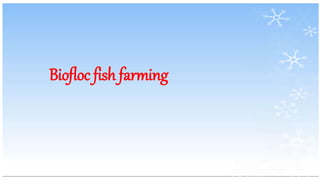 Biofloc fish farming
 