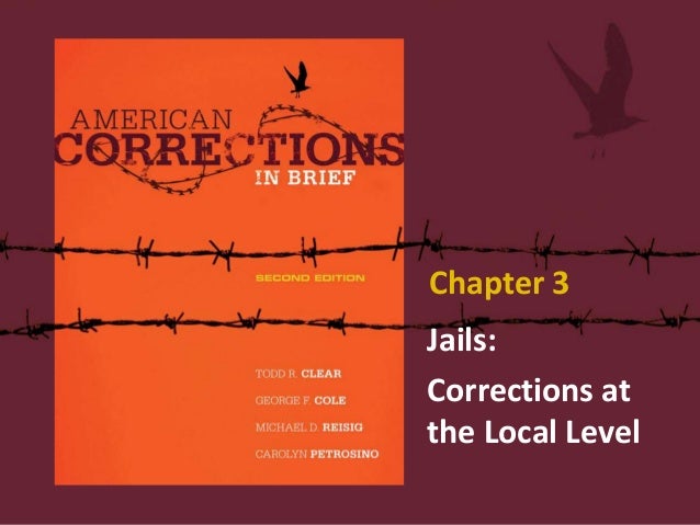 american corrections chapter 3 american corrections chapter 3