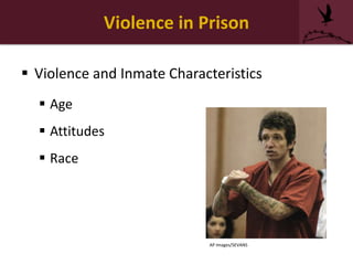 Violence in Prison
 Violence and Inmate Characteristics
 Age
 Attitudes
 Race
AP Images/SEVANS
 