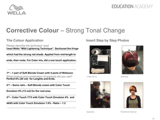 Corrective color portfolio | PPTX