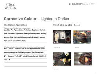 Corrective color portfolio | PPTX
