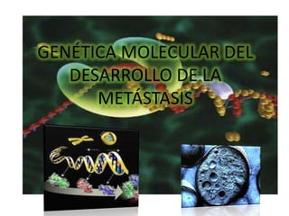 GENÉTICA MOLECULAR DEL
DESARROLLO DE LA
METÁSTASIS

 