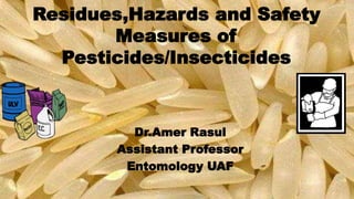 Residues,Hazards and Safety
Measures of
Pesticides/Insecticides
Dr.Amer Rasul
Assistant Professor
Entomology UAF
 