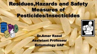 Amer Rasul correct pesticides and safey measures - Copy.pptx