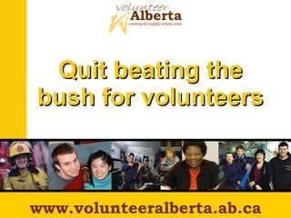 Quit beating the bush for volunteers The Twelve Legs we Stand on www.volunteeralberta.ab.ca 