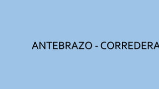 ANTEBRAZO - CORREDERA
 
