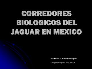 CORREDORES
BIOLOGICOS DEL
JAGUAR EN MEXICO
Dr. Héctor G. Ramos Rodríguez
Colegio de Geografía. FFyL, UNAM
 