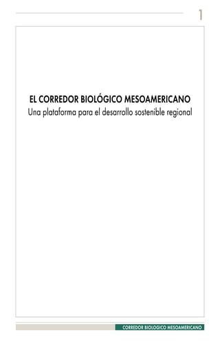 1




EL CORREDOR BIOLÓGICO MESOAMERICANO
Una plataforma para el desarrollo sostenible regional




                              CORREDOR BIOLOGICO MESOAMERICANO
 