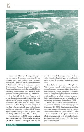 12




     Como parte del proceso de integración regio-       concebida como la Estrategia Integral de Desa-
nal en materia de recursos naturales, el 5 de           rrollo Sostenible Regional para la coordinación
junio de 1992, los Presidentes suscribieron en          y concertación de intereses e iniciativas de desa-
Managua el Convenio para la Conservación de             rrollo.
la Biodiversidad y Protección de Áreas Silvestres            Uno de los objetivos de ALIDES plantea:
Prioritarias en América Central, cuyo objetivo          “Salvar, conocer y usar la biodiversidad de la región,
fundamental es conservar la diversidad biológica,       promoviendo entre otras cosas el desarrollo de corre-
terrestre y costero-marina para beneficio de las        dores biológicos y áreas protegidas”. Asimismo,
presentes y futuras generaciones (CCAD 1992).           como un compromiso prioritario en materia de
     El artículo 21 del Convenio Regional es el         medio ambiente, se señala instruir a las autori-
primer instrumento normativo regional que hace          dades nacionales para que en un plazo breve se
referencia al Corredor Biológico. Este dice tex-        establezca y promueva el desarrollo del CBM.
tualmente: “Se deberá crear el Consejo Centro-               Entre 1993 y 1994 se desarrolló una inicia-
americano de Áreas Protegidas, como encargado de        tiva que culminó en un documento de propuesta
coordinar esfuerzos regionales para uniformizar las     de creación del CBM. Esta iniciativa surgió de
políticas vinculadas con, y el desarrollo del Sistema   un consorcio de organizaciones conservacionistas
Regional de Áreas Protegidas como un efectivo Corre-    internacionales llamado “Paseo Pantera”. Dicha
dor Biológico Mesoamericano” (CCAD 1992).               idea fue retomada en los países mediante la
     Posteriormente, en 1994, surgió la Alianza         CCAD, hasta culminar en la solicitud de fondos
Centroamericana para el Desarrollo Sostenible           a donantes para implementar el Corredor Bioló-
(ALIDES), firmada en Managua. ALIDES fue                gico Mesoamericano.

 SERIE TÉCNICA
 