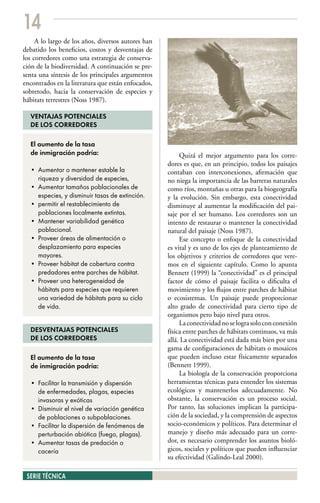14
     A lo largo de los años, diversos autores han
debatido los beneficios, costos y desventajas de
los corredores como una estrategia de conserva-
ción de la biodiversidad. A continuación se pre-
senta una síntesis de los principales argumentos
encontrados en la literatura que están enfocados,
sobretodo, hacia la conservación de especies y
hábitats terrestres (Noss 1987).

  VENTAJAS POTENCIALES
  DE LOS CORREDORES

  El aumento de la tasa
  de inmigración podría:                                 Quizá el mejor argumento para los corre-
                                                    dores es que, en un principio, todos los paisajes
  • Aumentar o mantener estable la                  contaban con interconexiones, afirmación que
    riqueza y diversidad de especies,               no niega la importancia de las barreras naturales
  • Aumentar tamaños poblacionales de               como ríos, montañas u otras para la biogeografía
    especies, y disminuir tasas de extinción.       y la evolución. Sin embargo, esta conectividad
  • permitir el restablecimiento de                 disminuye al aumentar la modificación del pai-
    poblaciones localmente extintas.                saje por el ser humano. Los corredores son un
  • Mantener variabilidad genética                  intento de restaurar o mantener la conectividad
    poblacional.                                    natural del paisaje (Noss 1987).
  • Proveer áreas de alimentación o                      Ese concepto o enfoque de la conectividad
    desplazamiento para especies                    es vital y es uno de los ejes de planteamiento de
    mayores.                                        los objetivos y criterios de corredores que vere-
  • Proveer hábitat de cobertura contra             mos en el siguiente capítulo. Como lo apunta
    predadores entre parches de hábitat.            Bennett (1999) la “conectividad” es el principal
  • Proveer una heterogeneidad de                   factor de cómo el paisaje facilita o dificulta el
    hábitats para especies que requieren            movimiento y los flujos entre parches de hábitat
    una variedad de hábitats para su ciclo          o ecosistemas. Un paisaje puede proporcionar
    de vida.                                        alto grado de conectividad para cierto tipo de
                                                    organismos pero bajo nivel para otros.
                                                         La conectividad no se logra solo con conexión
  DESVENTAJAS POTENCIALES                           física entre parches de hábitats continuos, va más
  DE LOS CORREDORES                                 allá. La conectividad está dada más bien por una
                                                    gama de configuraciones de hábitats o mosaicos
  El aumento de la tasa                             que pueden incluso estar físicamente separados
  de inmigración podría:                            (Bennett 1999).
                                                         La biología de la conservación proporciona
  • Facilitar la transmisión y dispersión           herramientas técnicas para entender los sistemas
    de enfermedades, plagas, especies               ecológicos y mantenerlos adecuadamente. No
    invasoras y exóticas                            obstante, la conservación es un proceso social.
  • Disminuir el nivel de variación genética        Por tanto, las soluciones implican la participa-
    de poblaciones o subpoblaciones.                ción de la sociedad, y la comprensión de aspectos
  • Facilitar la dispersión de fenómenos de         socio-económicos y políticos. Para determinar el
    perturbación abiótica (fuego, plagas).          manejo y diseño más adecuado para un corre-
  • Aumentar tasas de predación o                   dor, es necesario comprender los asuntos bioló-
    cacería                                         gicos, sociales y políticos que pueden influenciar
                                                    su efectividad (Galindo-Leal 2000).

 SERIE TÉCNICA
 