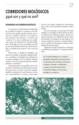 17
CORREDORES BIOLÓGICOS
¿qué son y qué no son?
DEFINIENDO UN CORREDOR BIOLÓGICO                        parte de esa cadena compleja de interacciones
                                                        que se dan en los ecosistemas naturales o modi-
     Si uno busca en el diccionario el significado      ficados.
de la palabra Corredor se encuentra con defi-                Por esto, tomando en cuenta que el Corredor
niciones como: pasillo, pasadizo, galería, estruc-      Biológico es entendido en Mesoamérica de diver-
tura de un edificio. Entonces, un corredor es           sas maneras por diferentes grupos, hemos tra-
una estructura cuya función es conectar, unir           tado de encontrar una definición técnica, física
                                                        del corredor, sin perjuicio de que luego la vis-
o enlazar. Si es así, no tendría que ser compli-
                                                        tamos de objetivos, misiones y visiones diferen-
cado acotar una definición de Corredor Bioló-
                                                        tes de acuerdo a la heterogénea realidad social y
gico. ¿Sería algo así como un pasadizo de vida?
                                                        política de nuestros países.
¿o una conectividad de todo lo que tiene vida? ¿o
                                                             Después de muchas propuestas, variaciones
bien, un pasadizo que conecta o une a los seres
                                                        y modificaciones llegamos a la siguiente defini-
vivos?                                                  ción:
     Ahora bien, el apellido de Biológico, que
tiene este corredor, es discutido. Algunos exper-
tos y científicos en la Región han señalado que           Un Corredor Biológico es un espacio
el término biológico tal vez no debería utilizarse        geográfico delimitado que proporciona
cuando se viste el concepto de aspectos sociales,         conectividad entre paisajes, ecosistemas
políticos y económicos.
                                                          y hábitats, naturales o modificados,
     Se han propuesto otros apellidos, tales como
corredor de desarrollo sustentable, paisaje sustenta-     y asegura el mantenimiento de la
ble, entre otros. Lo cierto es que con cualquier          diversidad biológica y los procesos
apellido no podemos los seres humanos (como               ecológicos y evolutivos.
seres vivos) hacernos a un lado, ya que somos




                                                            CORREDOR BIOLOGICO MESOAMERICANO
 