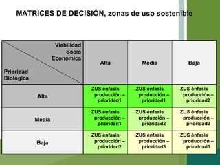 MATRICES DE DECISIÓN, zonas de uso sostenible Viabilidad Socio Económica Prioridad Biológica Alta Media Baja Alta ZUS énfasis producción – prioridad1 ZUS énfasis producción – prioridad1 ZUS énfasis producción – prioridad2 Media ZUS énfasis producción – prioridad1 ZUS énfasis producción – prioridad2 ZUS énfasis producción – prioridad3 Baja ZUS énfasis producción – prioridad2 ZUS énfasis producción – prioridad3 ZUS énfasis producción – prioridad3 