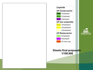 Diseño final propuesto  1/100.000 